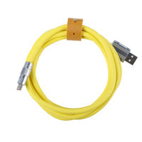 RT100 Cable