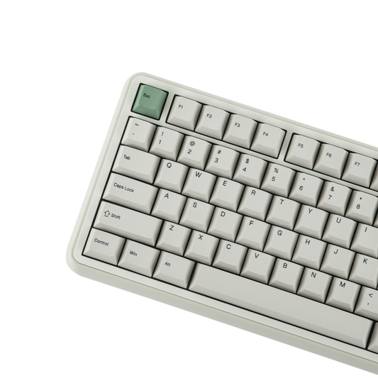 RT100 PRO
