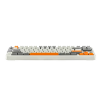 RT85