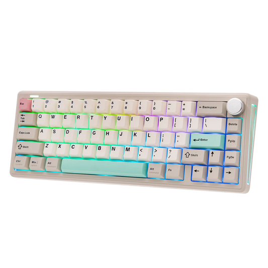 EPOMAKER  TH65