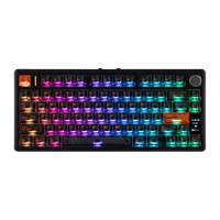 TH80 V2 Pro