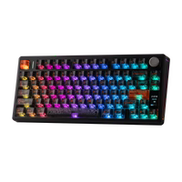 TH80 V2 Pro